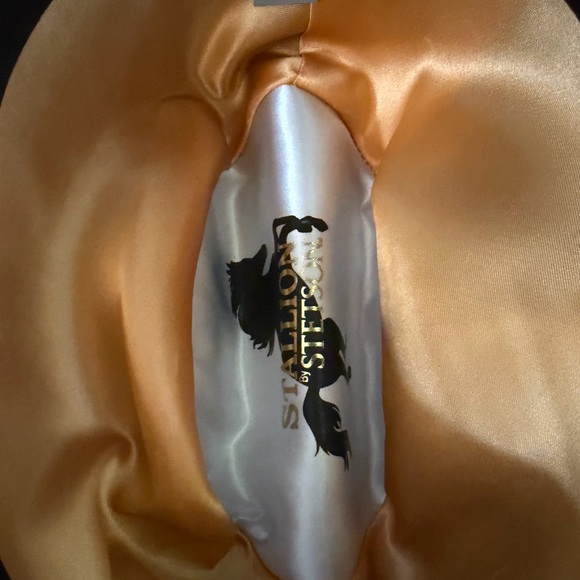 Wide Brim Customized Fun Fringe Snake Wool Stetson Hat size 7 1/4 - Picture 10 of 11